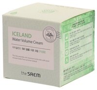 The Saem Iceland Water Volume Hydrating Cream(For Oily Skin) Крем минеральный для лица 80 мл