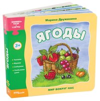 Step puzzle Книжка-игрушка Мир вокруг нас. Ягоды