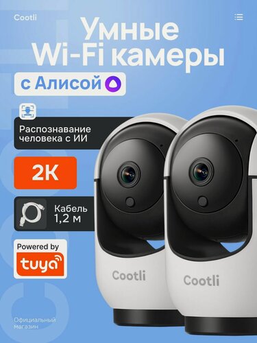 Изображение товара 2 ШТ Умная камера видеонаблюдения WiFi для дома 2К с Яндекс Алисой, видеоняня (CI-IIWF219)