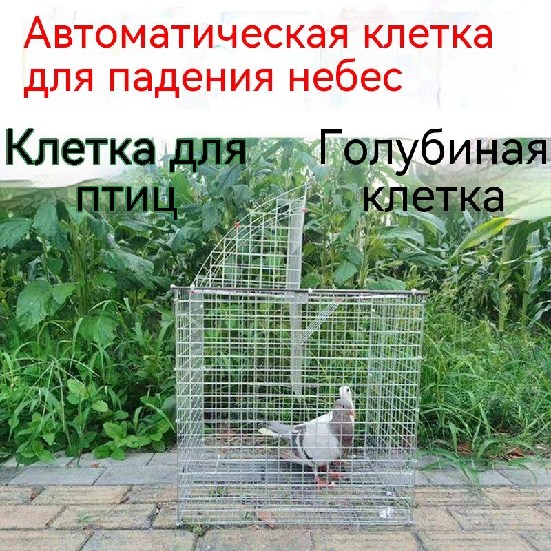 Название товара "Птичья клетка-птицеводческая ферма" 10 слов