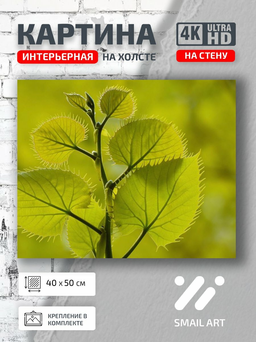 Картина на холсте интерьерная 40 на 50 на стену Ветка Mood для кабинета атмосфера интерьер