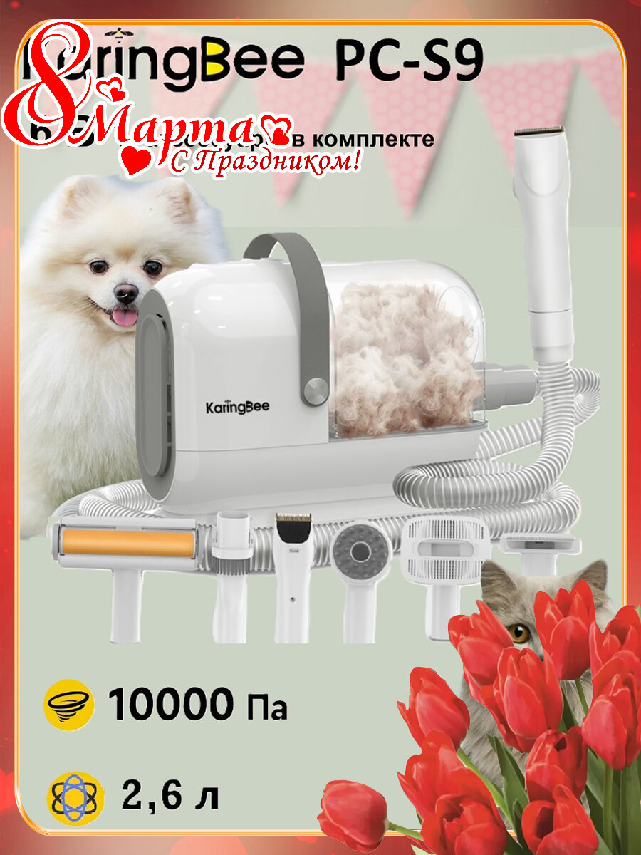 Пылесос для домашних животных KaringBee с аксессуарами 6в1/10000pa/2,6 л/Шланг длиной 1,6 м/Стеллаж для хранения