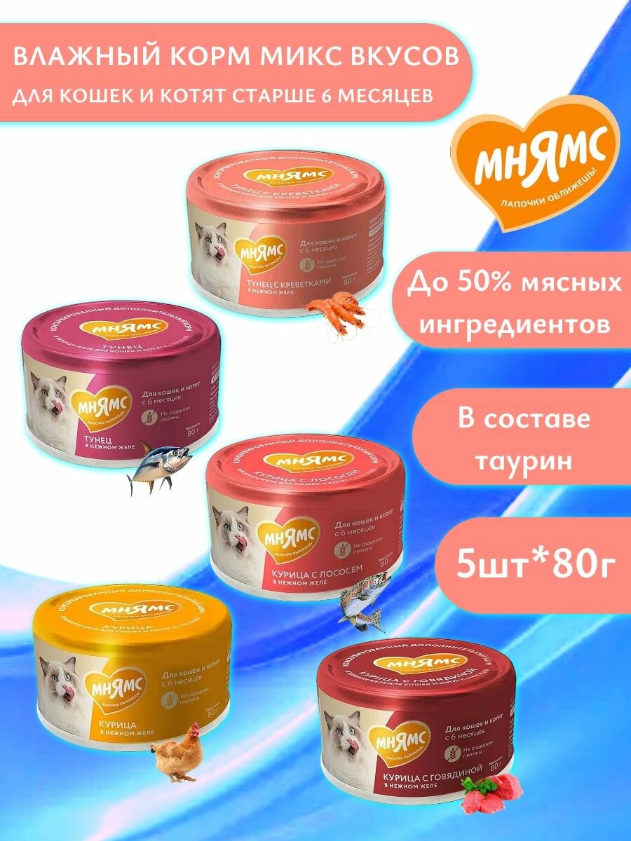 Влажный корм Мнямс для кошек и котят с 6 месяцев 80г*5шт Микс вкусов