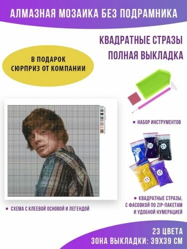 Алмазная мозаика без подрамника - вышивка - OG Buda 40 х 40 см — фото 1