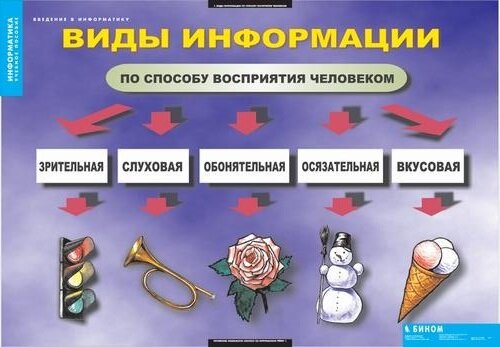 Комплект таблиц "Введение в информатику" (12 шт, 68х98см)