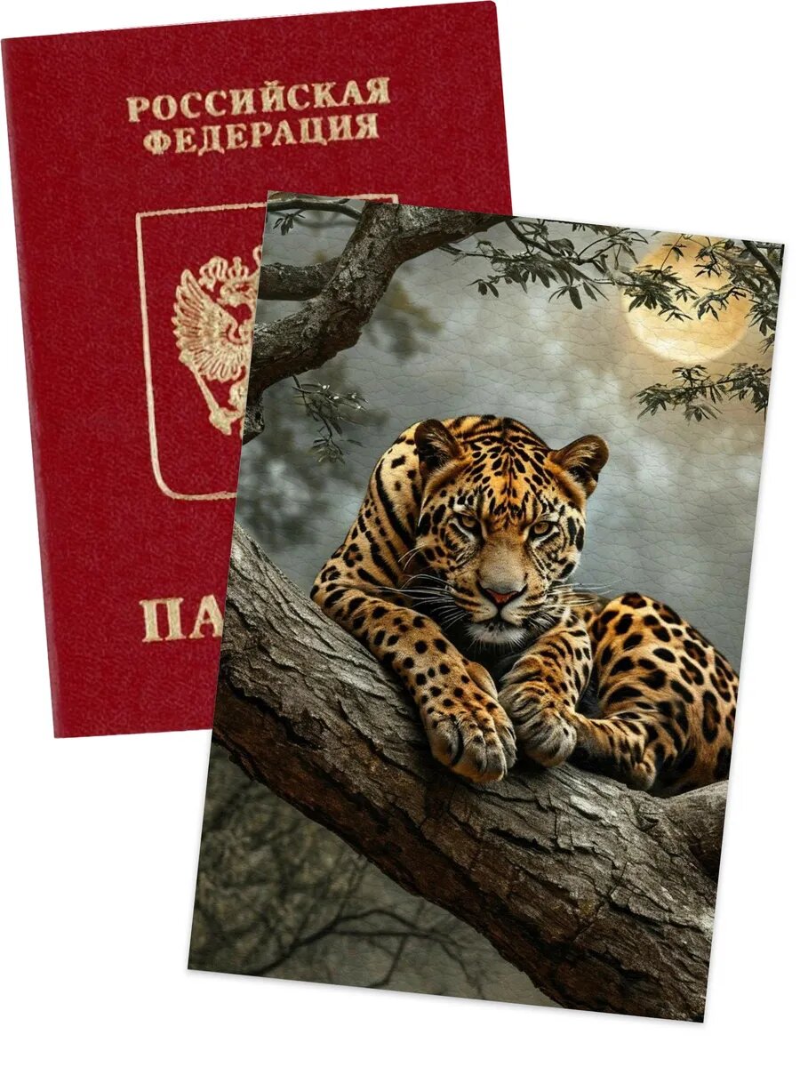 Обложка для паспорта