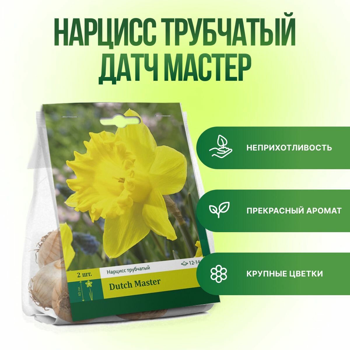 Нарцисс Датч Мастер трубчатый (2шт) луковицы нарциссов многолетние