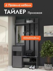 Прихожая комплект Тайлер с зеркалом, с полками, с вешалками, с обувницей, 100.1х34.8х199,9 см, Графит