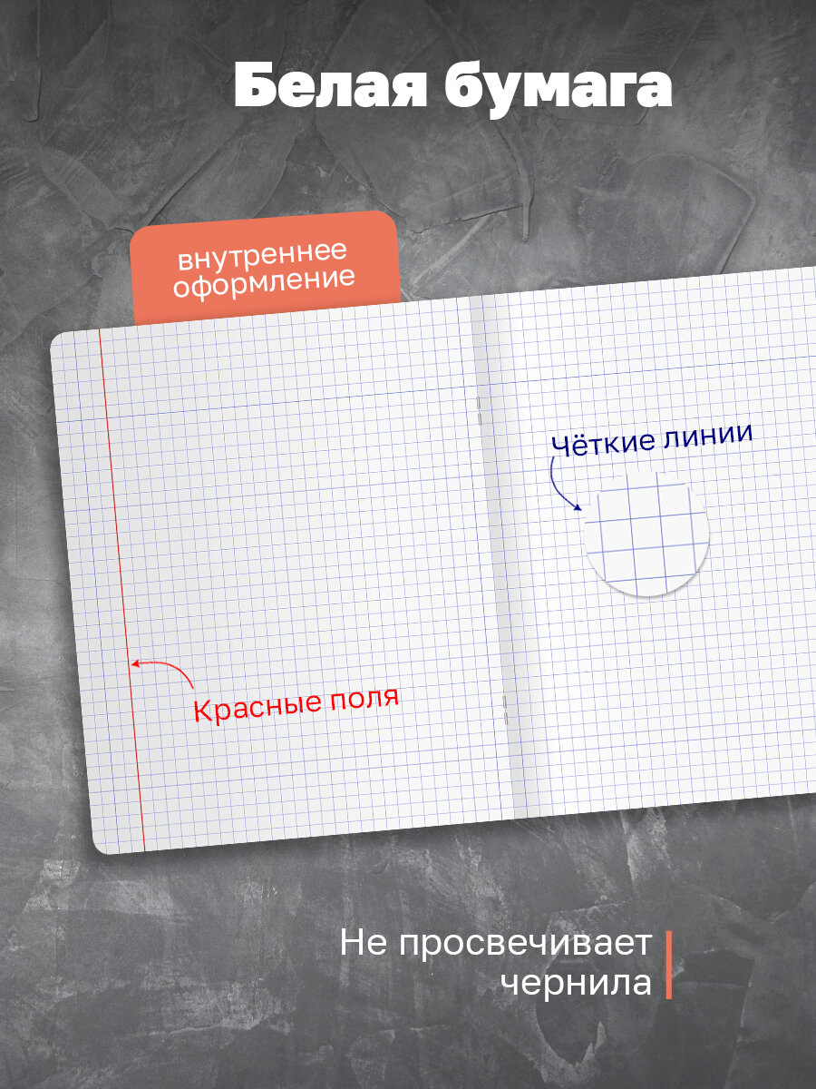 Тетрадь в клетку 48 листов, А5, BG "Monocolor. Black. Concise", soft-touch / Набор тетрадей для школы 4 штуки — фото 1