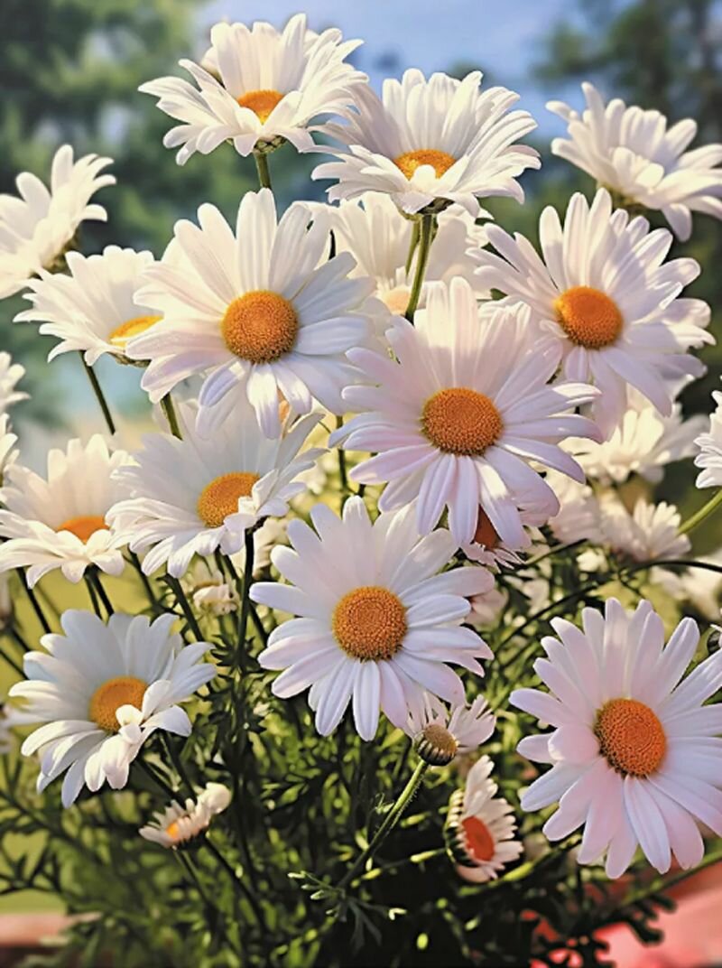 Алмазная мозаика 30х40 без подрамника ромашки 5D выкладка круглыми стразами набор для творчества расслабляющее хобби handmade картина в интерьер