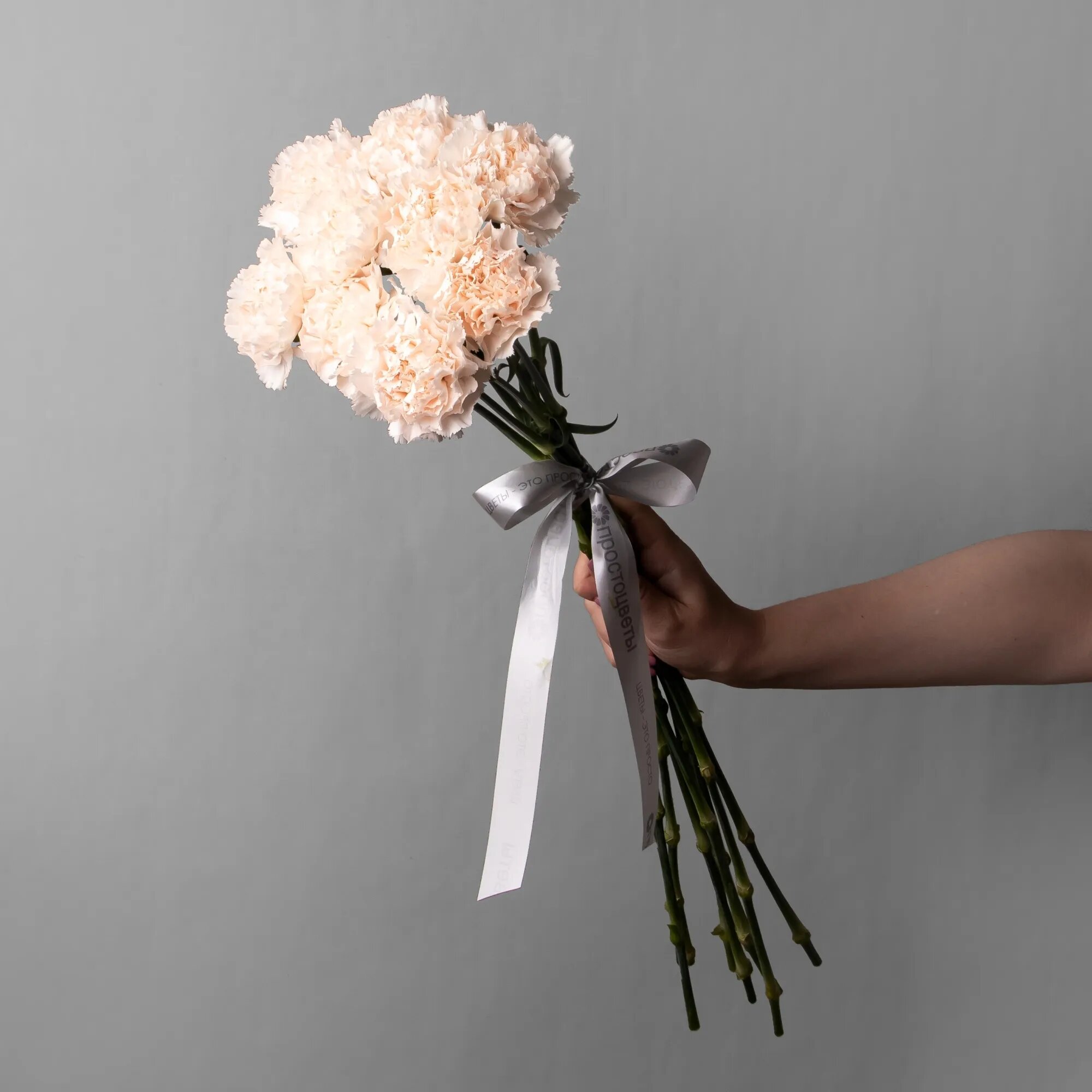 Букет Гвоздика "Брют" 9 шт Высота 60 см под ленту от "Простоцветы"