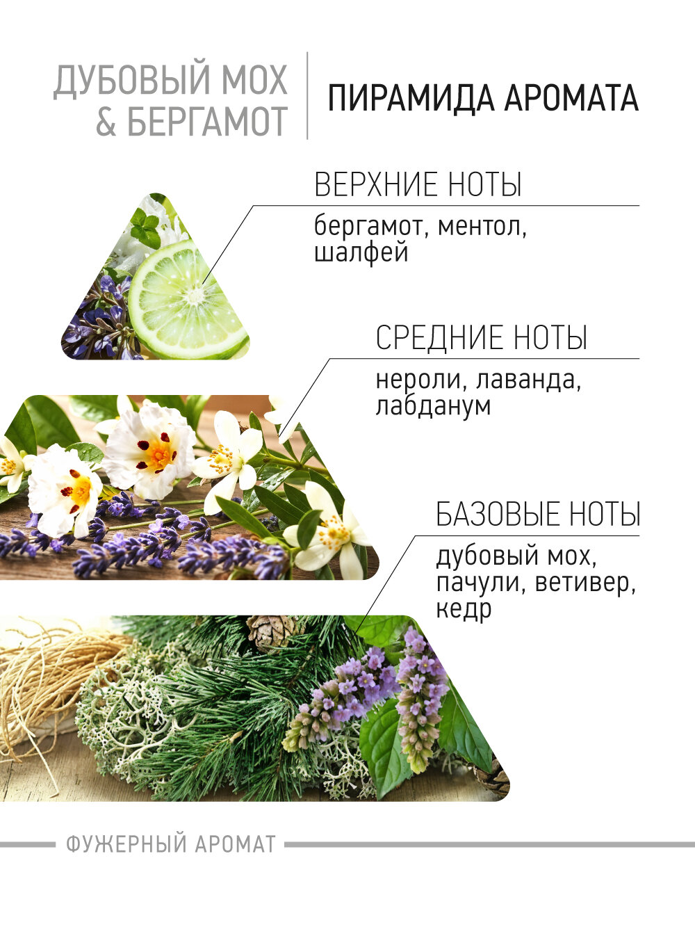 Парфюмированный лосьон для рук и тела IQ Beauty Дубовый мох и бергамот, 250 мл — фото 1