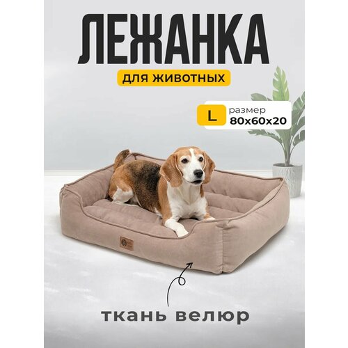 Лежанка для Кошек и Собак Большая с Бортиками и Подушкой