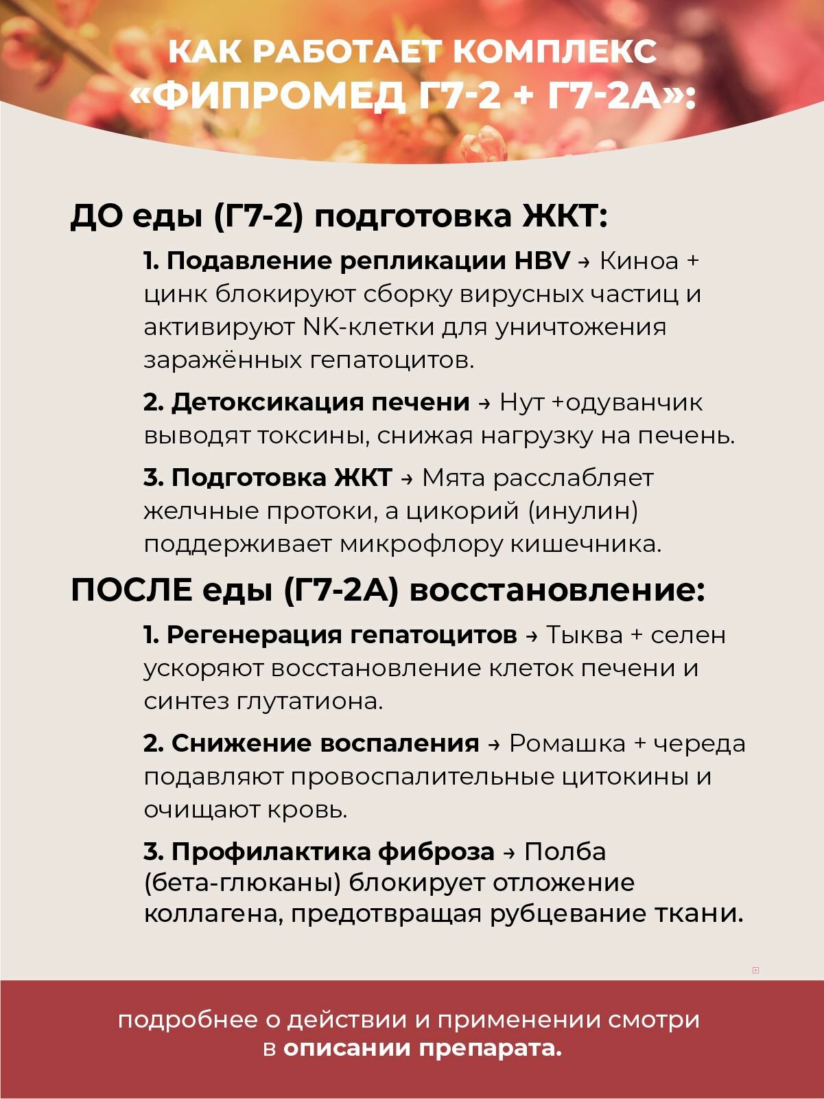 Изображение Фипромед Г7-2А Хронический вирусный гепатит В, 50 мл