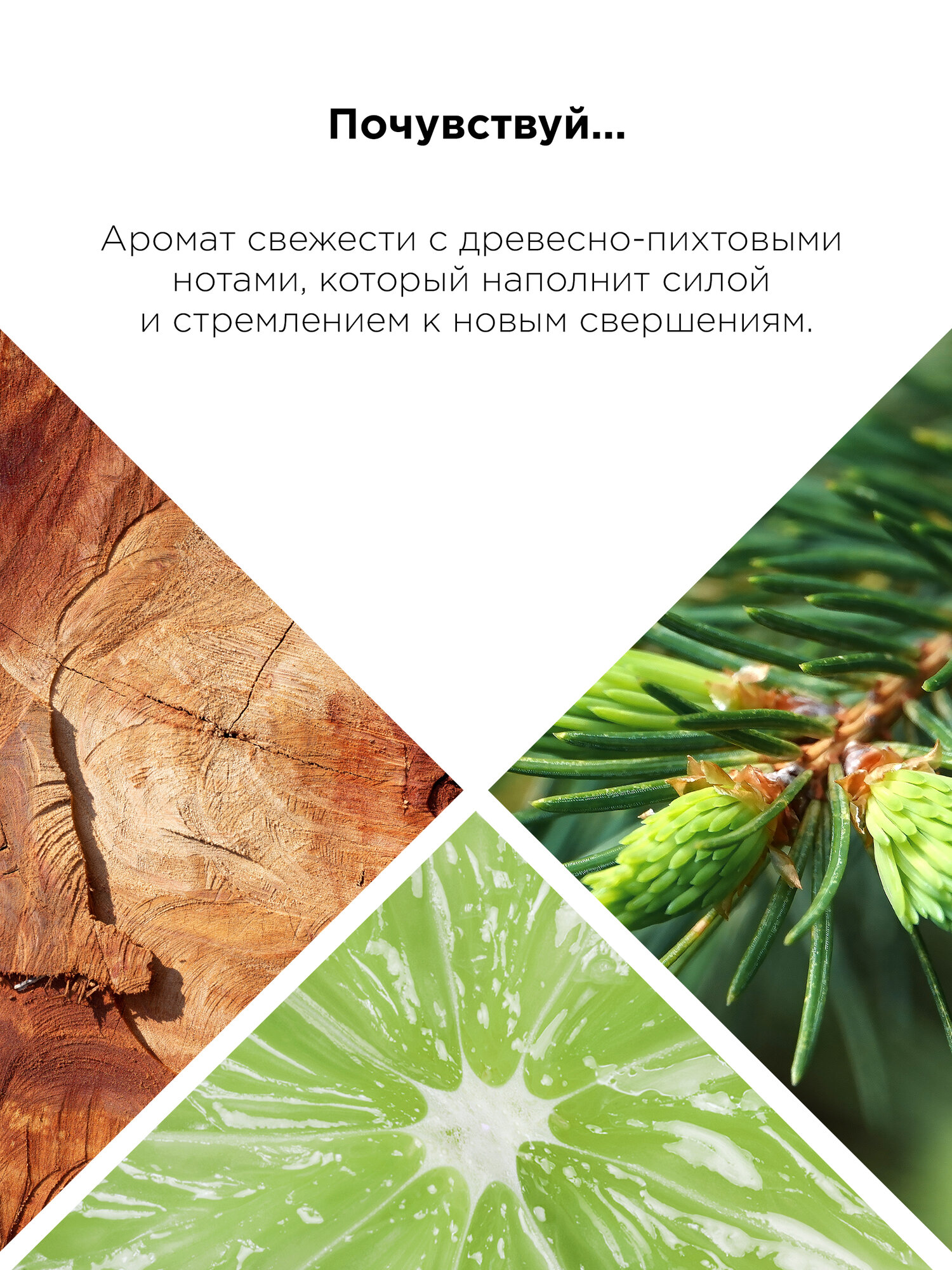 MIXIT Подарочные наборы для мужчин: тонизирующий гель для душа и освежающий шампунь для волос Men's Cleansing — фото 1