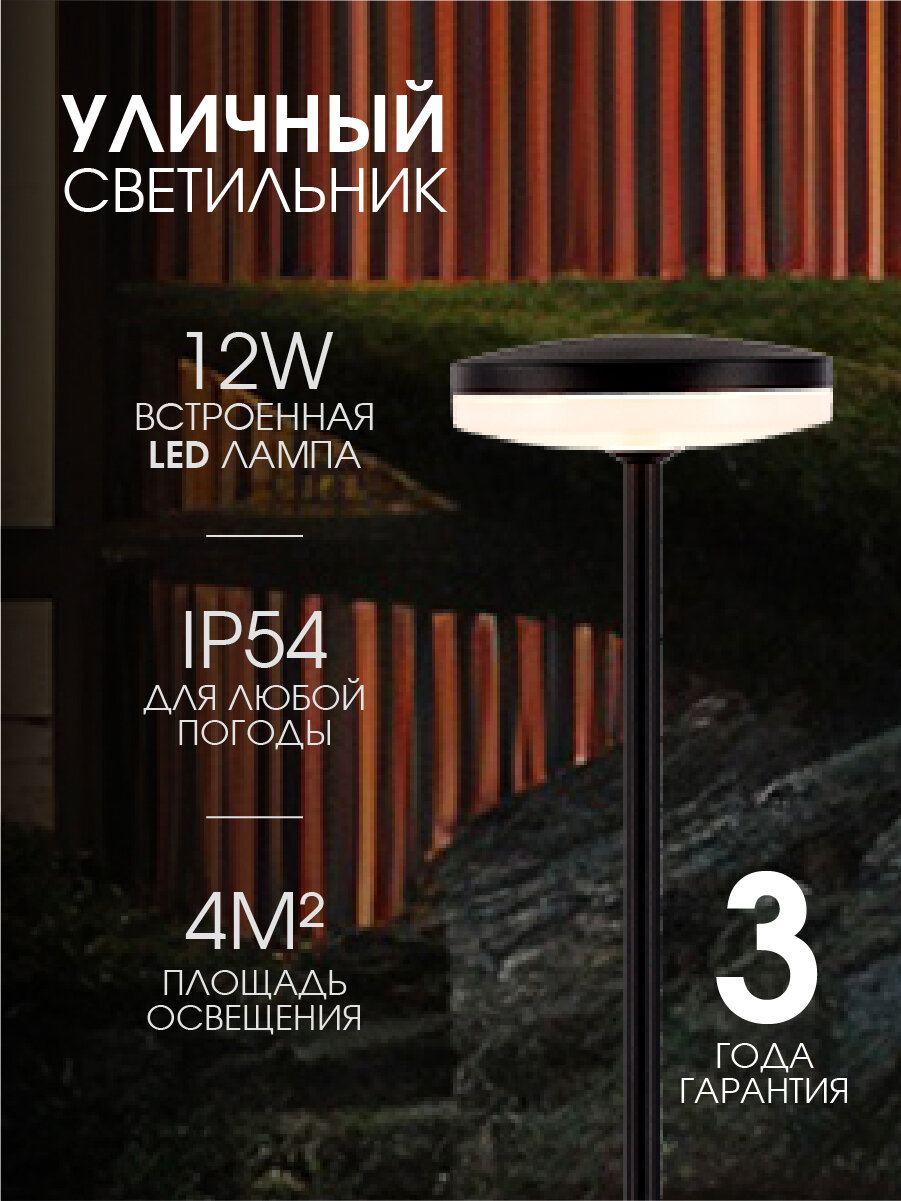 Светильник уличный ландшафтный ST Luce SL9524.415.01 Черный под цоколь LED 12W 2700K защита IP54