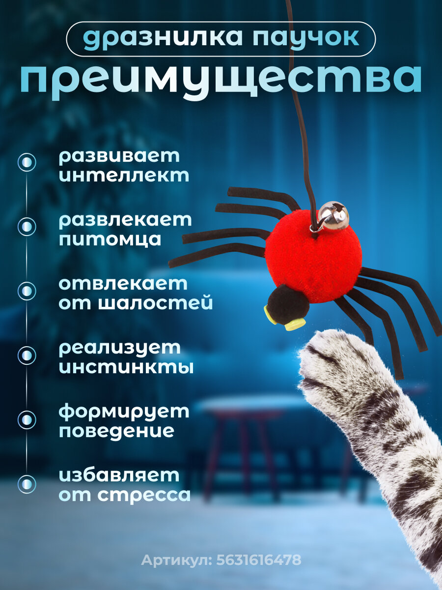 Игрушка для кошек Паучок, интерактивная дразнилка на резинке с липучкой, для котят и котов, красный — фото 1