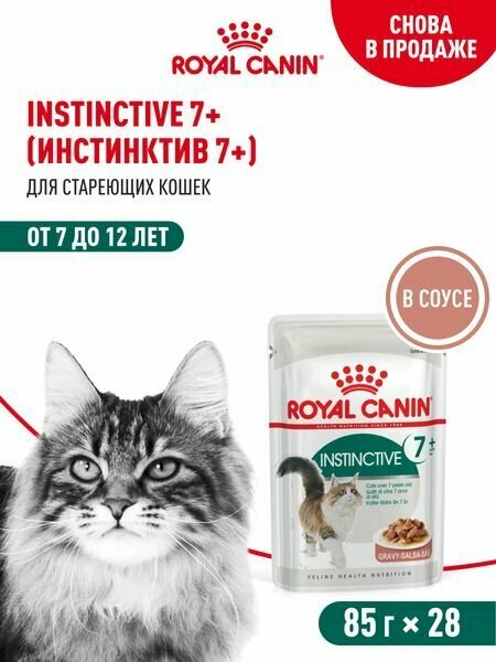 Корм влажный ROYAL CANIN INSTINCTIVE, для кошек старше 7 лет, паучи кусочки в соусе, 85 г х 28 шт