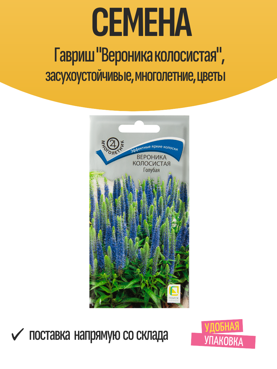 Семена Гавриш "Вероника колосистая", засухоустойчивые, многолетние, цветы