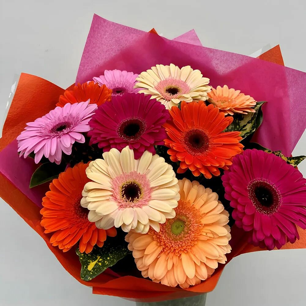 Букет живых цветов из 11 разноцветных мини - гербер в крафте от АзалияНау