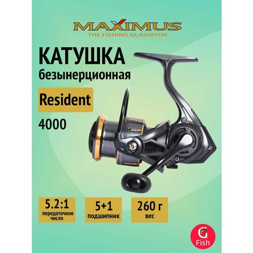 Катушка безынерционная Maximus Resident 4000 (5+1 подш.)