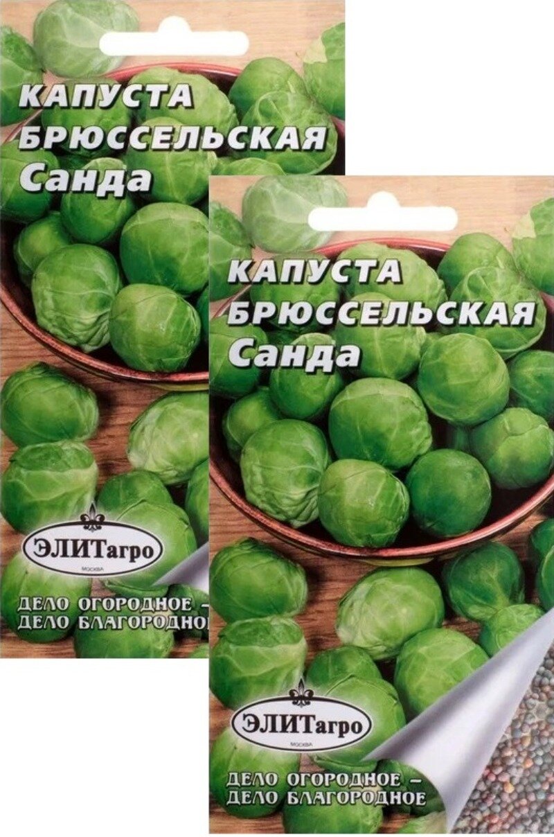 Семена Капуста Брюссельская Санда (03 г) 2 пакета высота до 1 м.