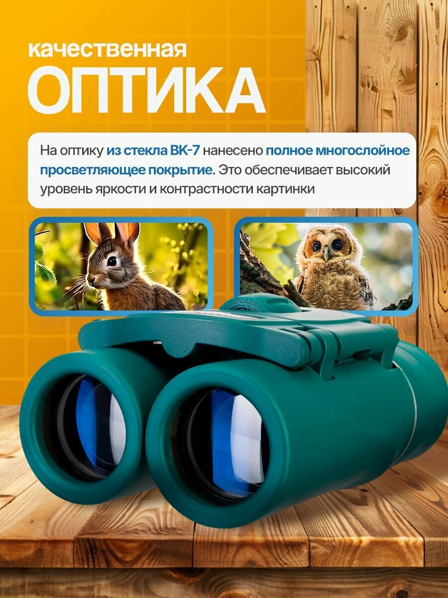 Бинокль Levenhuk LabZZ B5 для наблюдений за природой и городскими пейзажами — фото 1