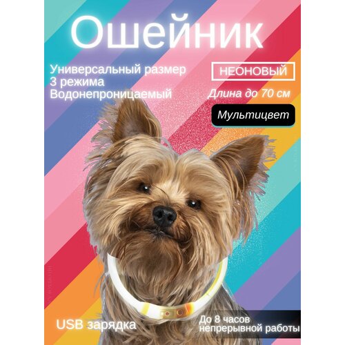 Светящийся ошейник для собак, регулируемый размер, Мультицвет