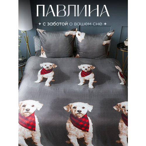 Постельное белье евро Павлина Щенок с шарфиком, Полисатин, наволочки 70x70