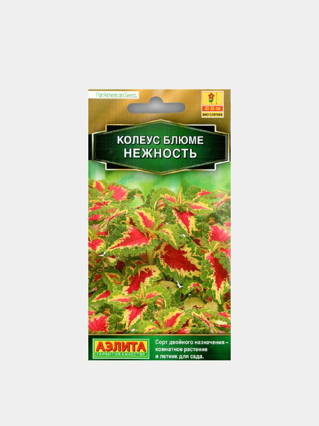 Семена цветов: Колеус Блюме нежность