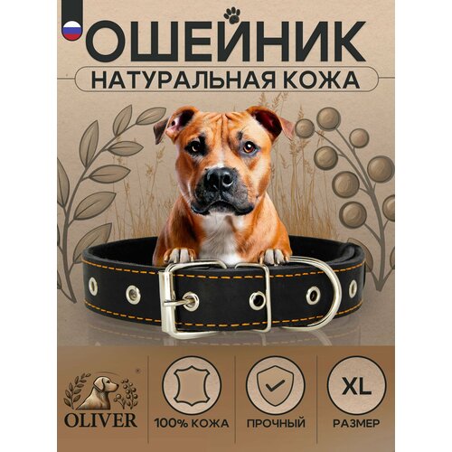Ошейник для собак Oliver из натуральной кожи на мягкой подкладке из синтепона / XL / Черный