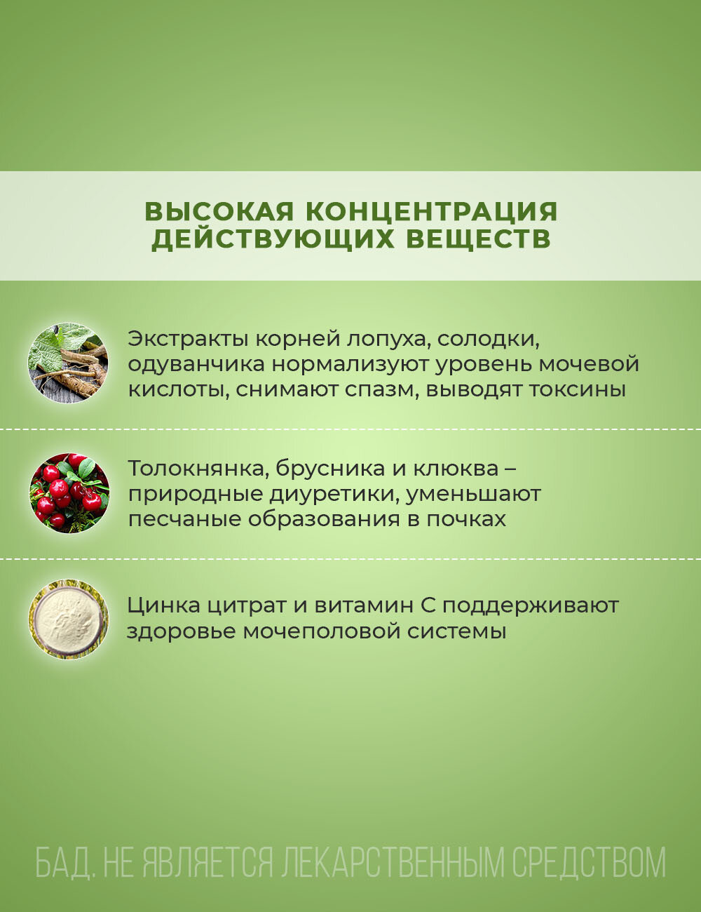 Бад Для Мочеполовой Системы Уробиол БАД, Комплекс растительных экстрактов для почек,30 капсул, Биолит