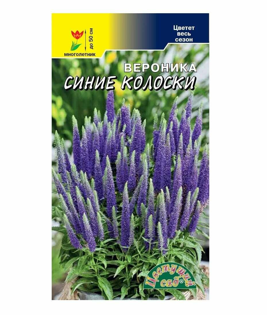 Семена Вероника Синие колоски