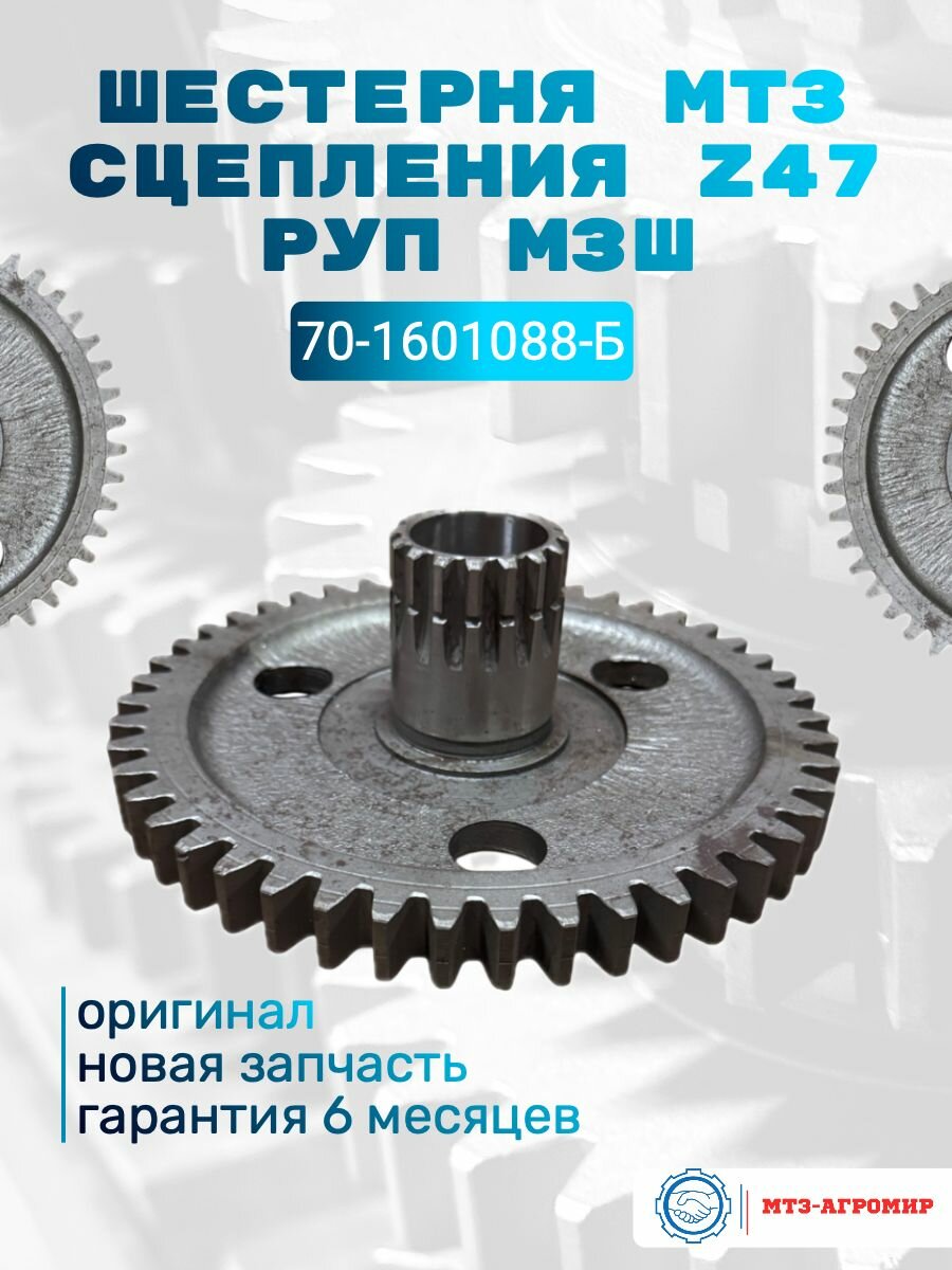 Шестерня МТЗ сцепления Z47 РУП МЗШ