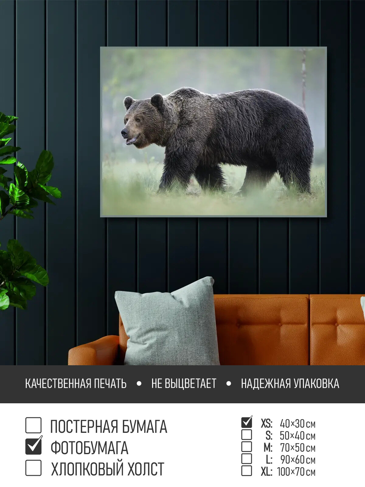 Постер на фотобумаге Медведь в туманном лесу, 40х30 см ПолиЦентр, цифровая фотопечать