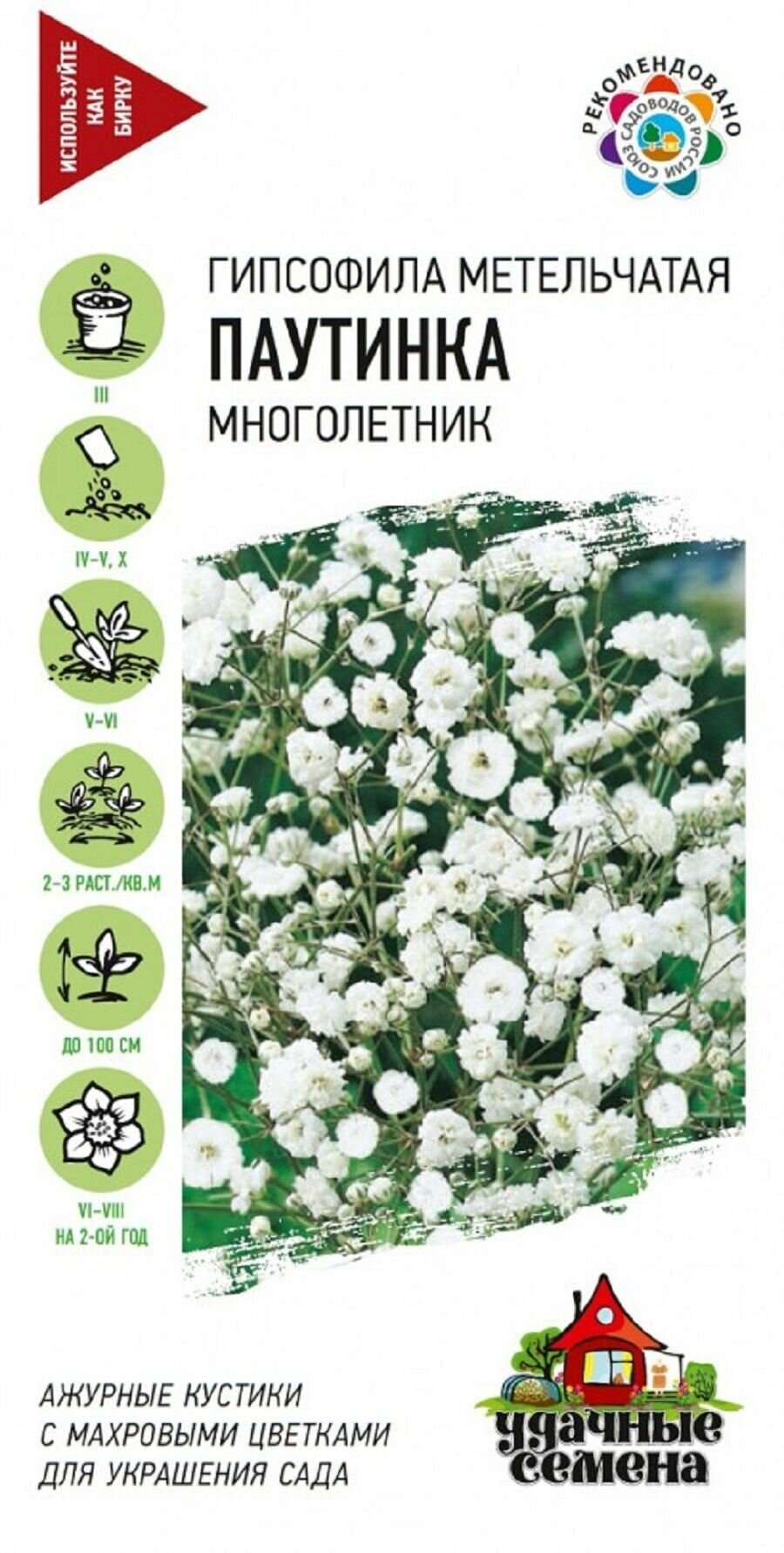 Гипсофила Паутинка 0 05г   Удачные семена Гавриш