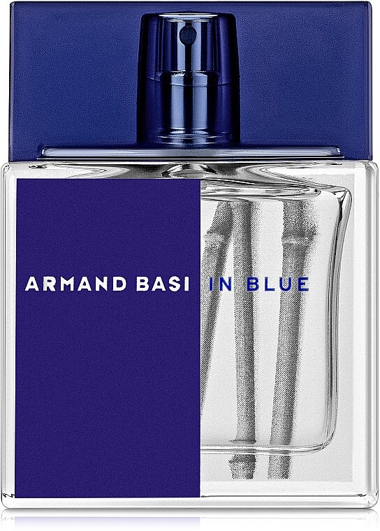 Туалетная вода Armand Basi In Blue, для мужчин, 100 мл — фото 1