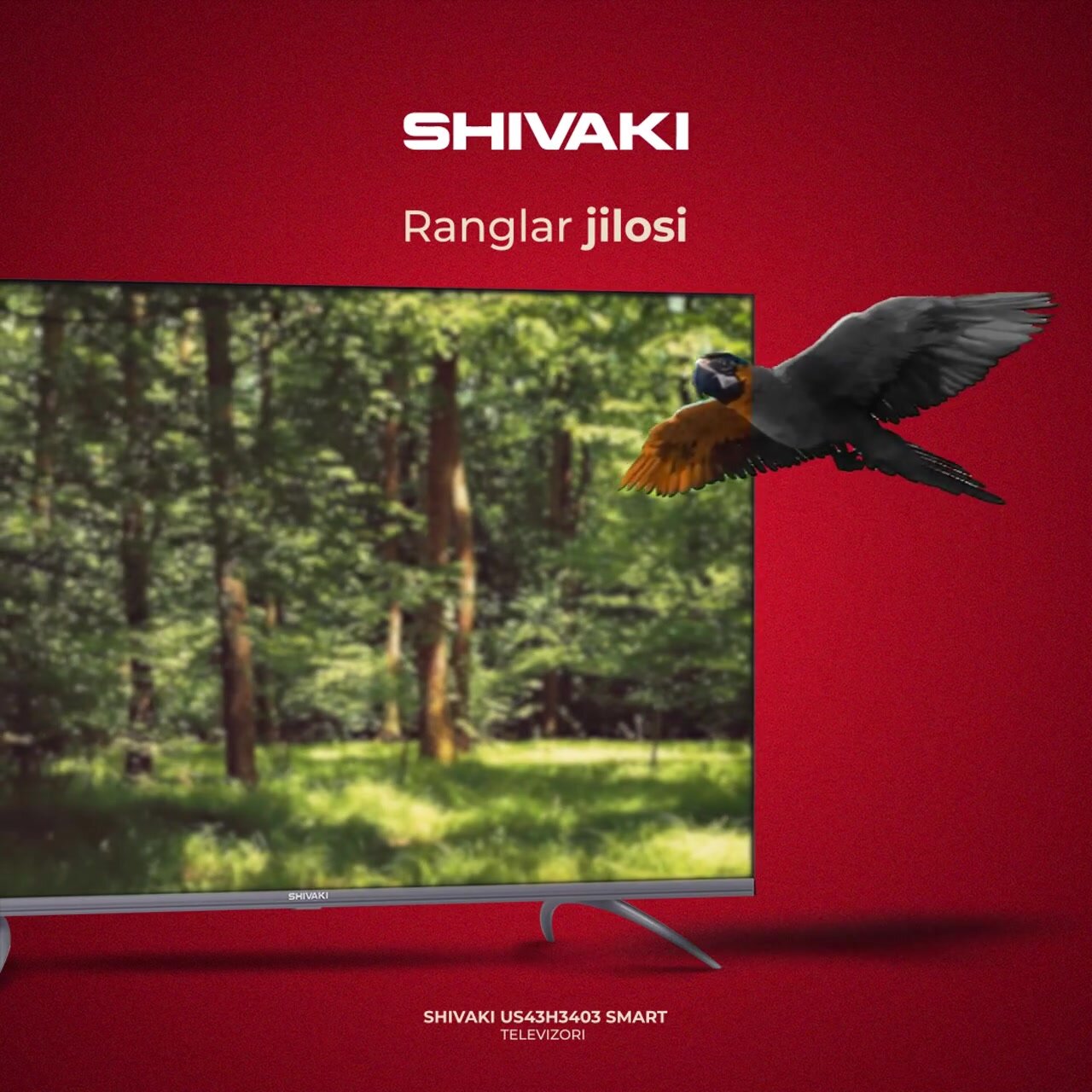 Телевизор Shivaki US43H3403 43 Smart Google Tv Full HD, пульт с голосовым поиском — фото 1