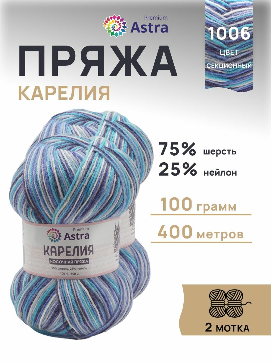 Пряжа носочная Astra Premium 'Карелия' 2 шт 100г 400м (75% шерсть 25% нейлон) (1006)
