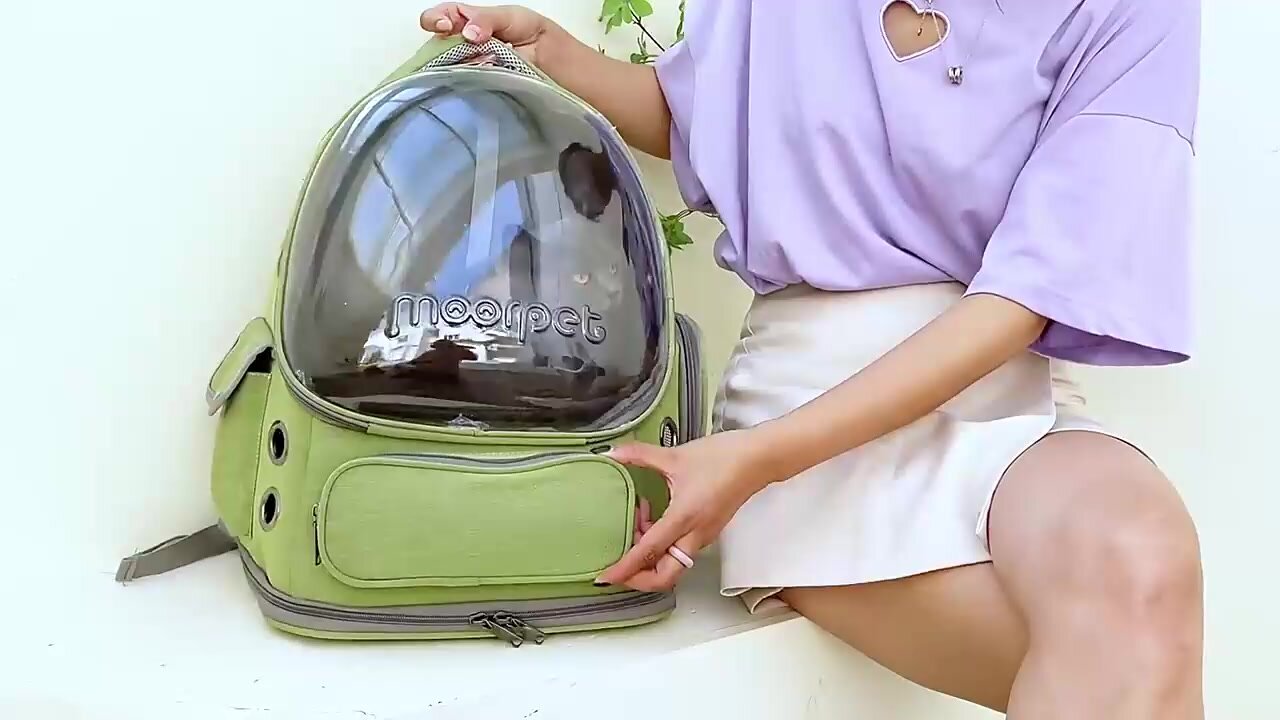 Картинки Рюкзак переноска с обзорной прозрачной вставкой для животных, кошек, собак маленьких пород, перевозка в самолёте на отдых