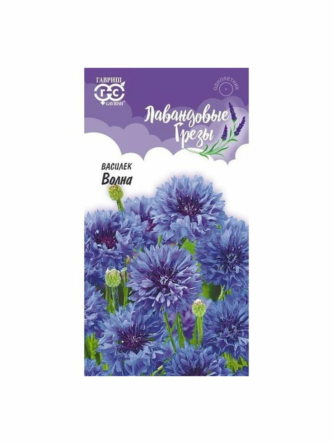 Семена Василек 