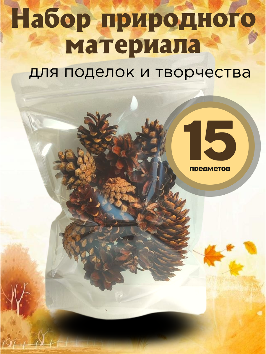 Набор природного материала HEADBOX  для поделок  шишек  бежевый
