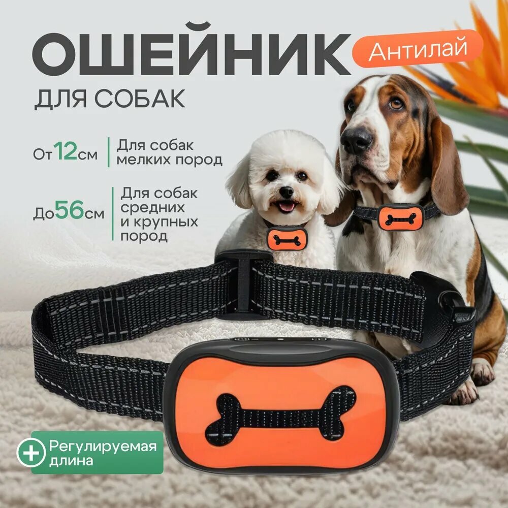 Ошейник Антилай для собак