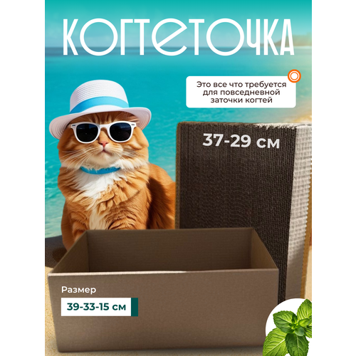 Когтеточка в коробке мини