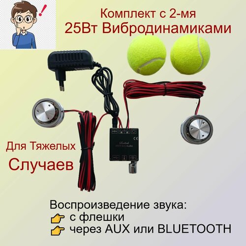 Вибродинамик Комплект 2 по 25Вт 5902₽