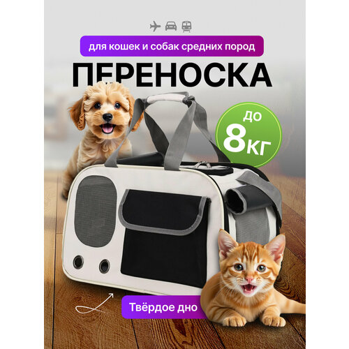 Переноска для кошек и собак разных пород, сумка для животных