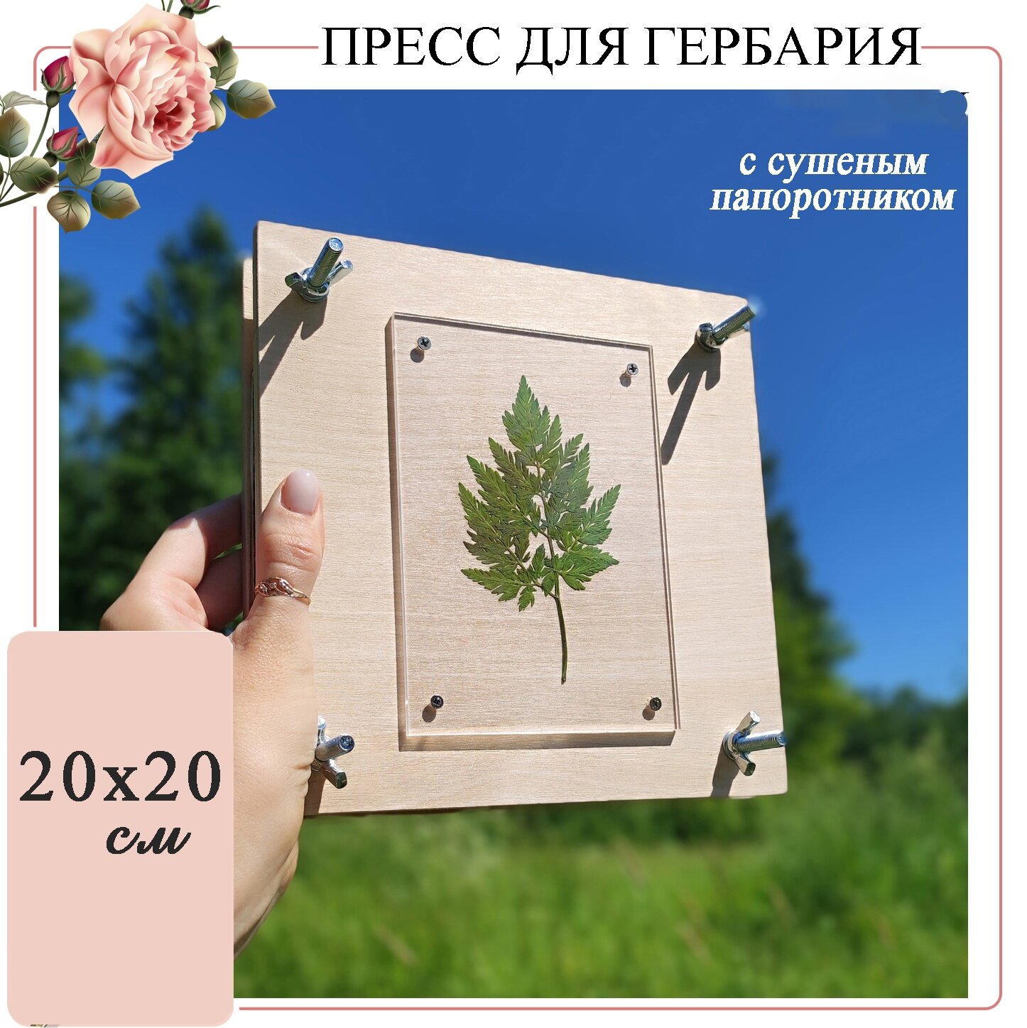 Пресс для гербария