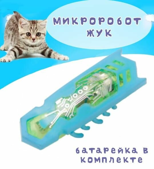 Микроробот НаноЖук/ Интерактивная игрушка для кошек/ Таракан робот с вибрацией