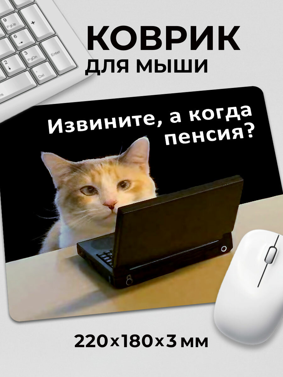 Коврик для мышки с приколом котик Извините а когда пенсия