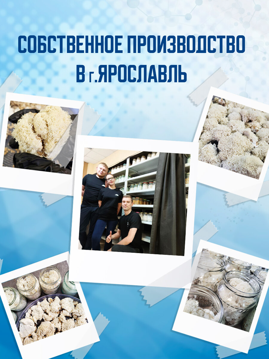 Картинки Ежовик гребенчатый (ежевик) 100% мицелий, 120 капсул по 500 мг, для мозга и иммунитета